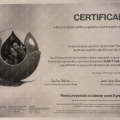 Ampliar imagem: certificate 1