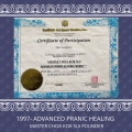 Ampliar imagem: certificate 11
