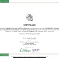 Ampliar imagem: certificate 6