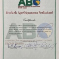 Ampliar imagem: certificate 4