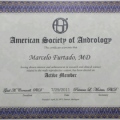 Ampliar imagem: certificate 7