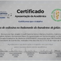 Ampliar imagem: certificate 2