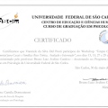Ampliar imagem: certificate 5