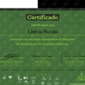 Ampliar imagem: certificate 3