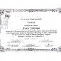 Ampliar imagem: certificate 1