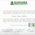 Ampliar imagem: certificate 3