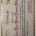 Ampliar imagem: certificate 1