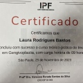 Ampliar imagem: certificate 2