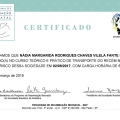 Ampliar imagem: certificate 9