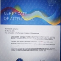 Ampliar imagem: certificate 1