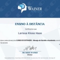 Ampliar imagem: certificate 11