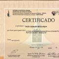 Ampliar imagem: certificate 4