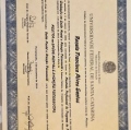Ampliar imagem: certificate 1