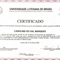 Ampliar imagem: certificate 1
