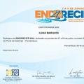 Ampliar imagem: certificate 6