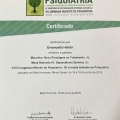 Ampliar imagem: certificate 11