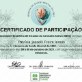 Ampliar imagem: certificate 12