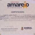 Ampliar imagem: certificate 4