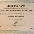 Ampliar imagem: certificate 3