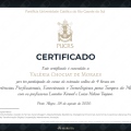 Ampliar imagem: certificate 3
