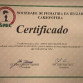 Ampliar imagem: certificate 8