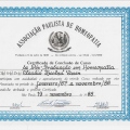 Ampliar imagem: certificate 2