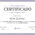 Ampliar imagem: certificate 20