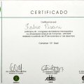 Ampliar imagem: certificate 29