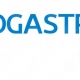 Endogastro Rio