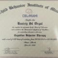Ampliar imagem: certificate 1