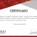 Ampliar imagem: certificate 6