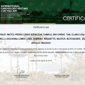Ampliar imagem: certificate 1