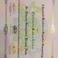 Ampliar imagem: certificate 3