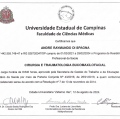 Ampliar imagem: certificate 5