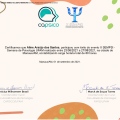Ampliar imagem: certificate 28