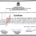 Ampliar imagem: certificate 4