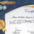 Ampliar imagem: certificate 6