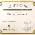 Ampliar imagem: certificate 3