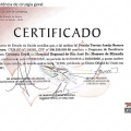Ampliar imagem: certificate 9