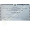 Ampliar imagem: certificate 2