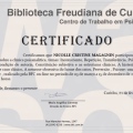 Ampliar imagem: certificate 5