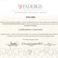 Ampliar imagem: certificate 1
