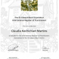 Ampliar imagem: certificate 1