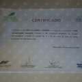 Ampliar imagem: certificate 80
