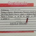 Ampliar imagem: certificate 43