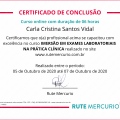 Ampliar imagem: certificate 4