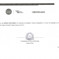 Ampliar imagem: certificate 11