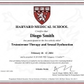 Ampliar imagem: certificate 1