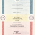 Ampliar imagem: certificate 2