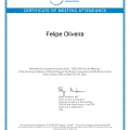 Ampliar imagem: certificate 5